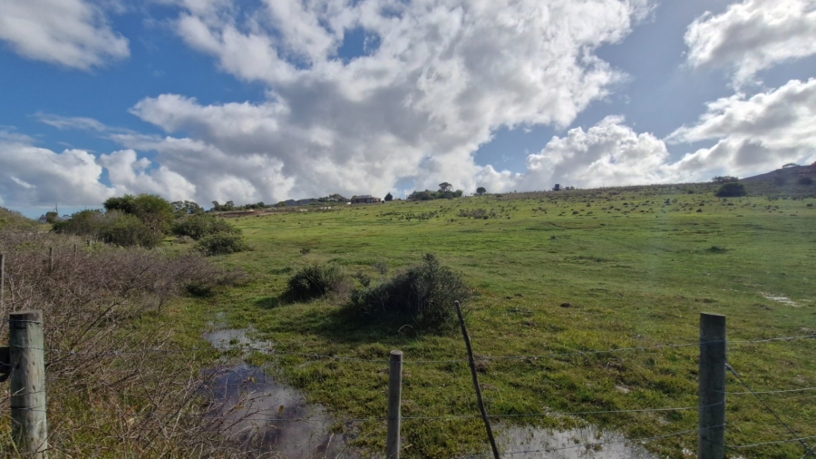 Commercial Property for Sale in Baardskeerdersbos Western Cape